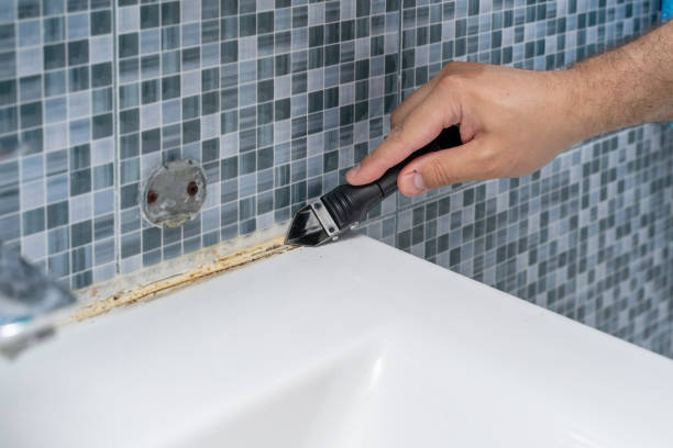 Best Residential Mold Remediation in Madera Acres, CA