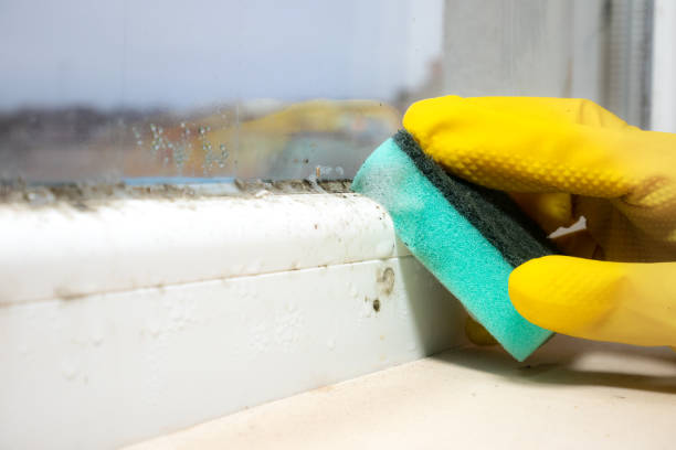 Best Industrial Mold Remediation in Madera Acres, CA