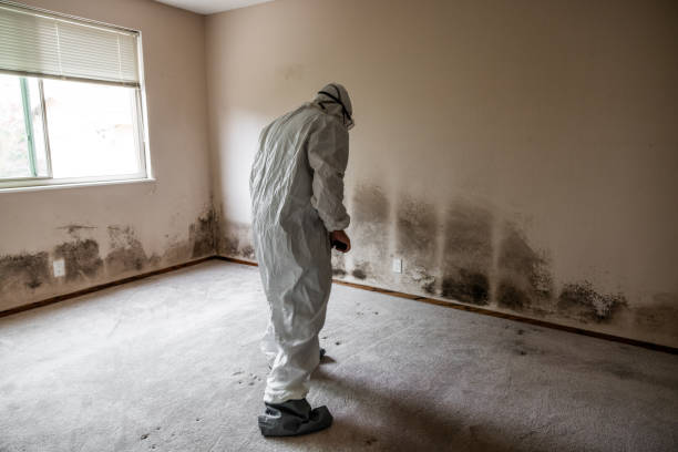 Best HVAC Mold Remediation in Madera Acres, CA